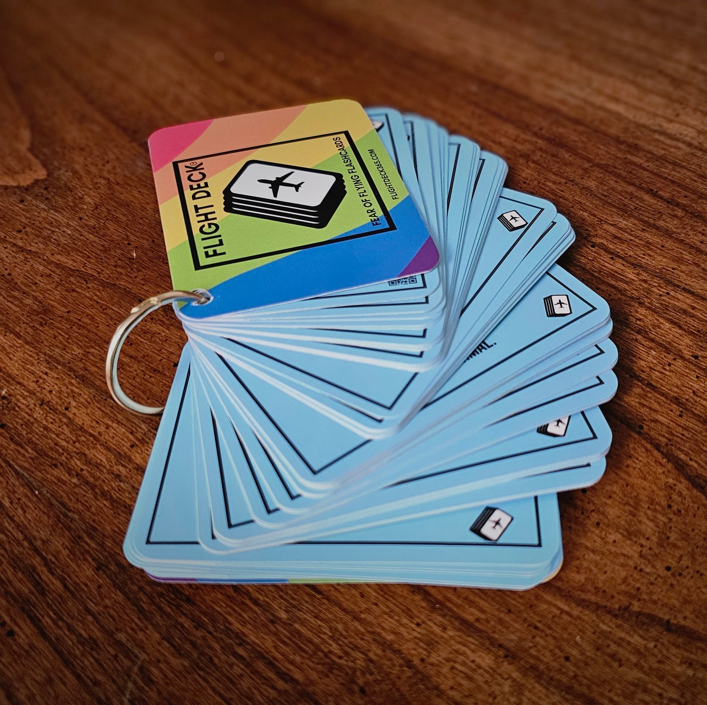 Flight Deck Fear of Flying Flashcards with Gold Ring Binder - RAINBOW LIMITED EDITION