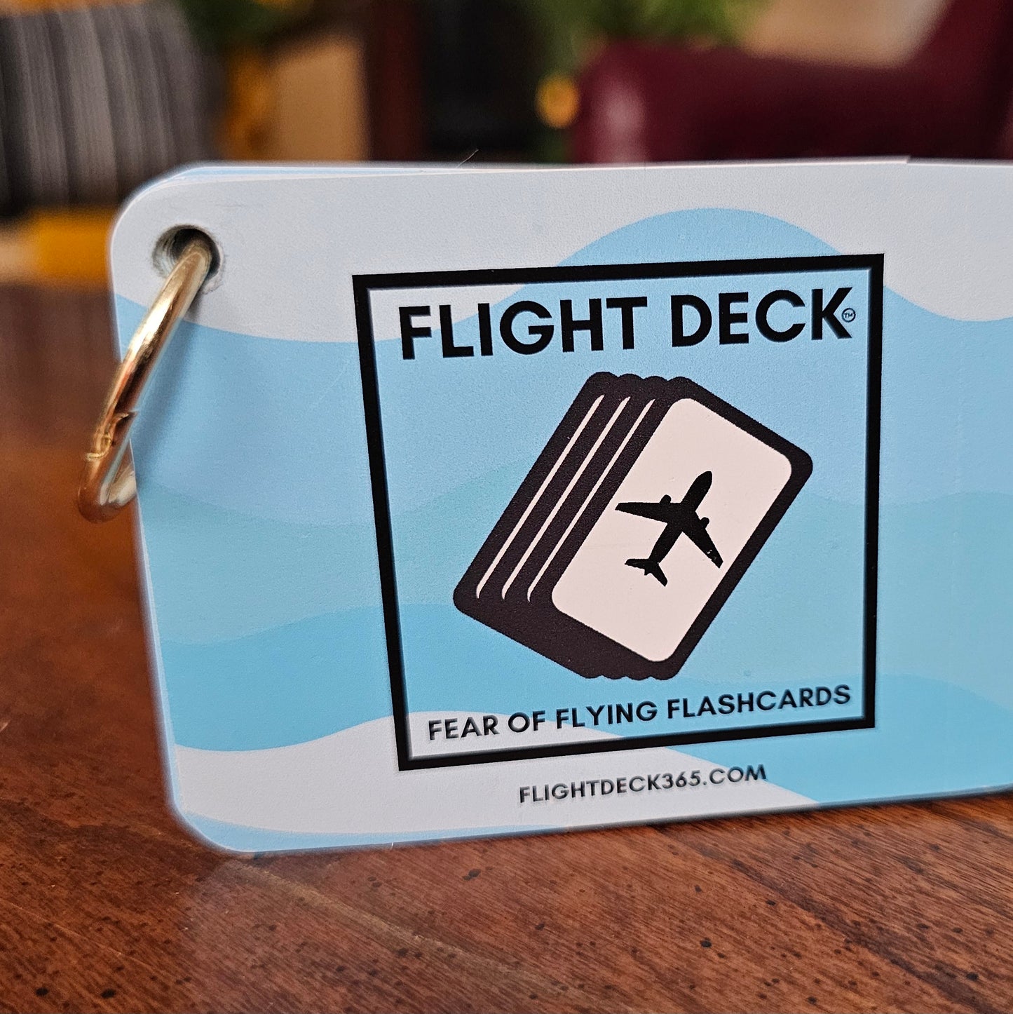 Flight Deck Fear of Flying Flashcards with Gold Ring Binder - BLUE WAVE