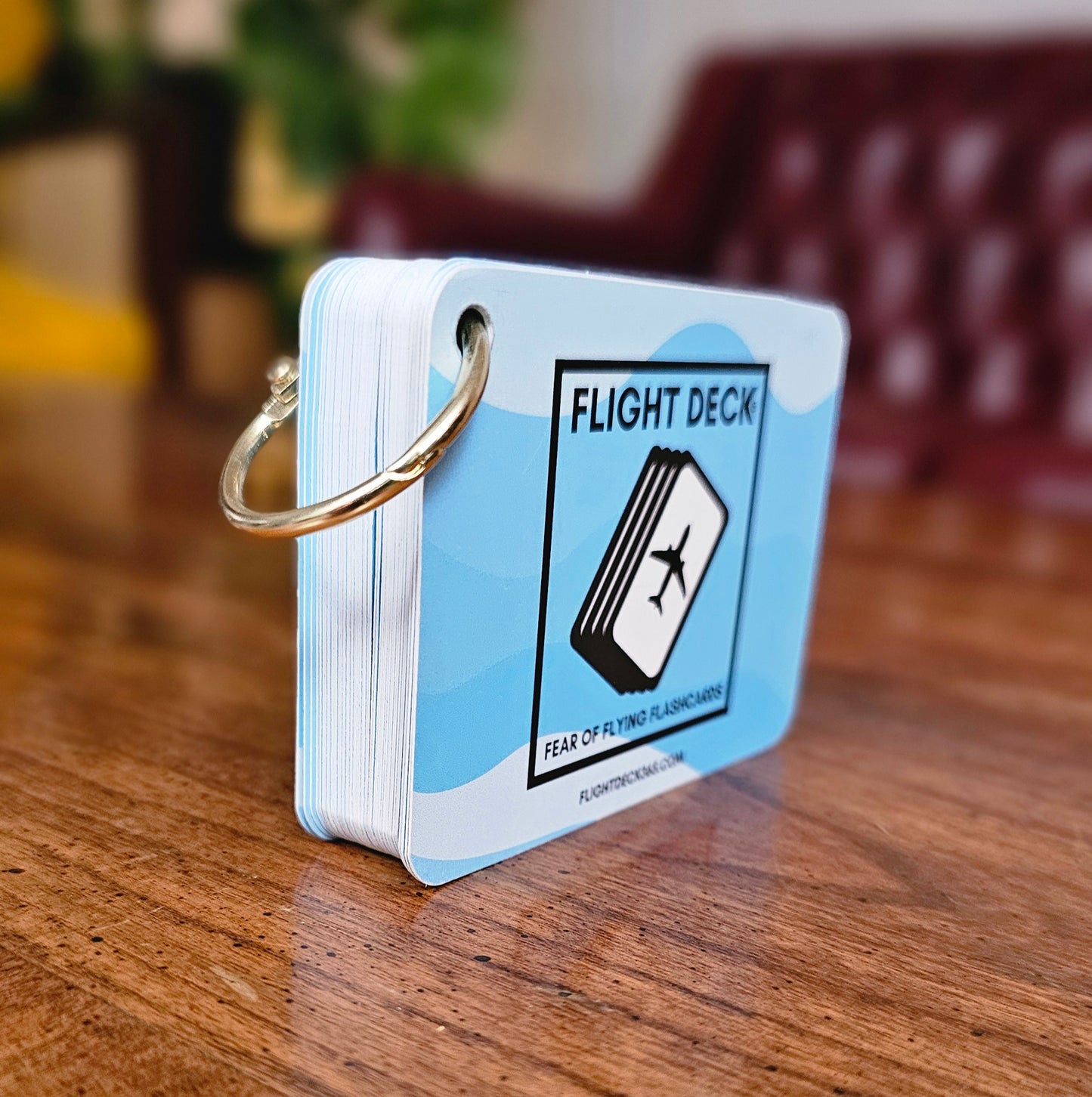 Flight Deck Fear of Flying Flashcards with Gold Ring Binder - BLUE WAVE