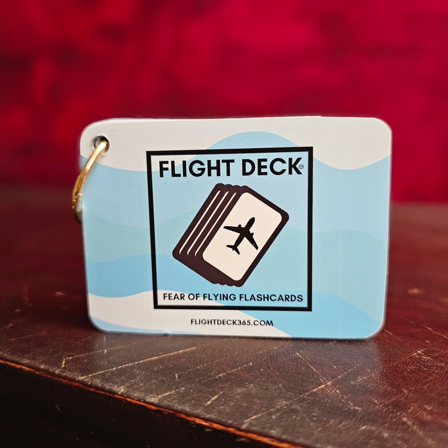 Flight Deck Fear of Flying Flashcards with Gold Ring Binder - BLUE WAVE